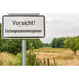 Was tun bei Juckreiz durch Prozessionsspinner