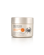Vagheggi Intensive Tan Accelerator 200 Ml
